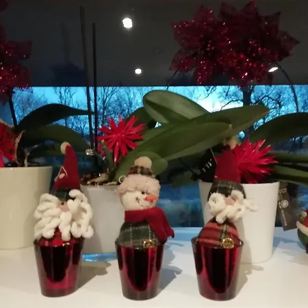 Le Coin De Magali * Malmedy