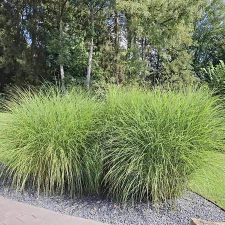 Apartment Le Coin De Magali