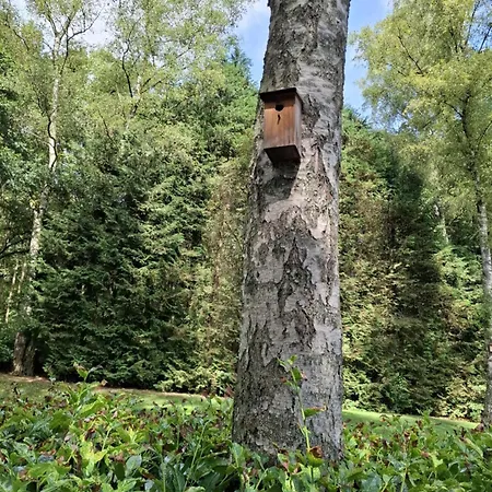 Le Coin De Magali Apartment *